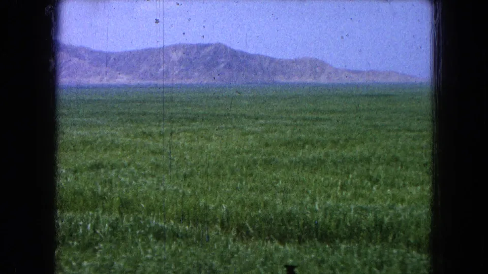 1965 8mm home-movie view of a green field and distant mountains in the recorded Pueblo, Mexico location.