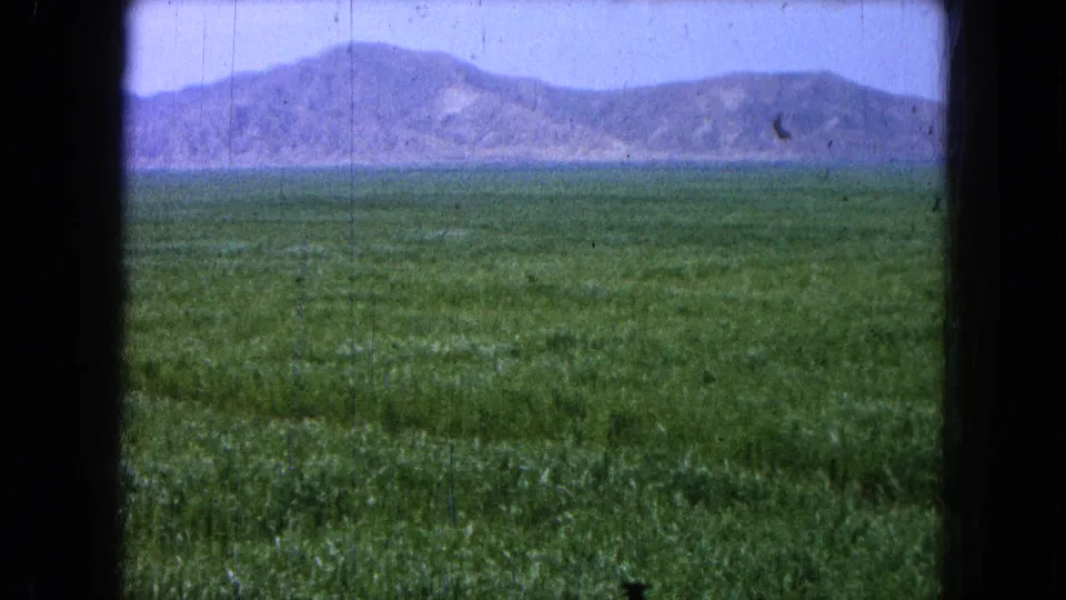 1965 8mm frame of a rural green field and hazy mountains, with visible grain and scratches from the film source.