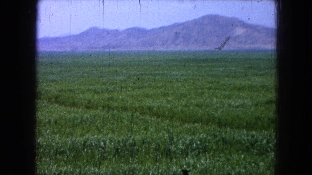 Green crop field stretching toward distant mountains under a pale sky.