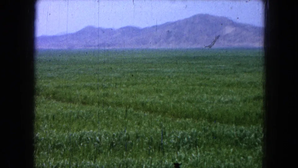 1965 8mm home-movie view of green farmland near Pueblo, Mexico, framed by dark gate edges with mountains on the horizon.