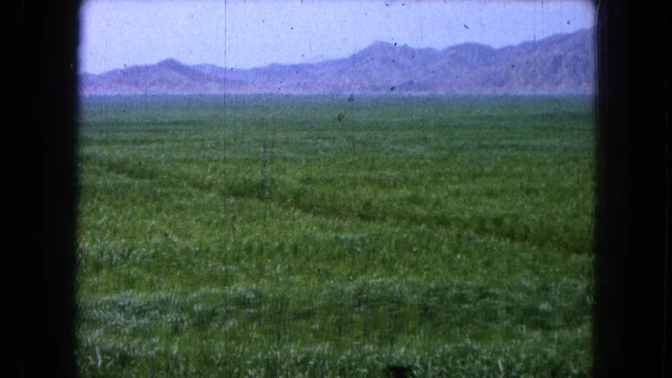 Wide 8mm view of cultivated green fields and low mountains in the distance, consistent with the Pueblo, Mexico metadata.