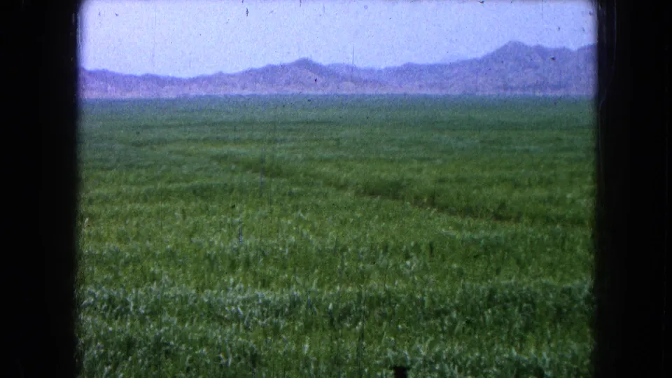 Vintage 8mm frame showing open cultivated land near Pueblo, Mexico, with a hazy mountain ridge beyond the fields.