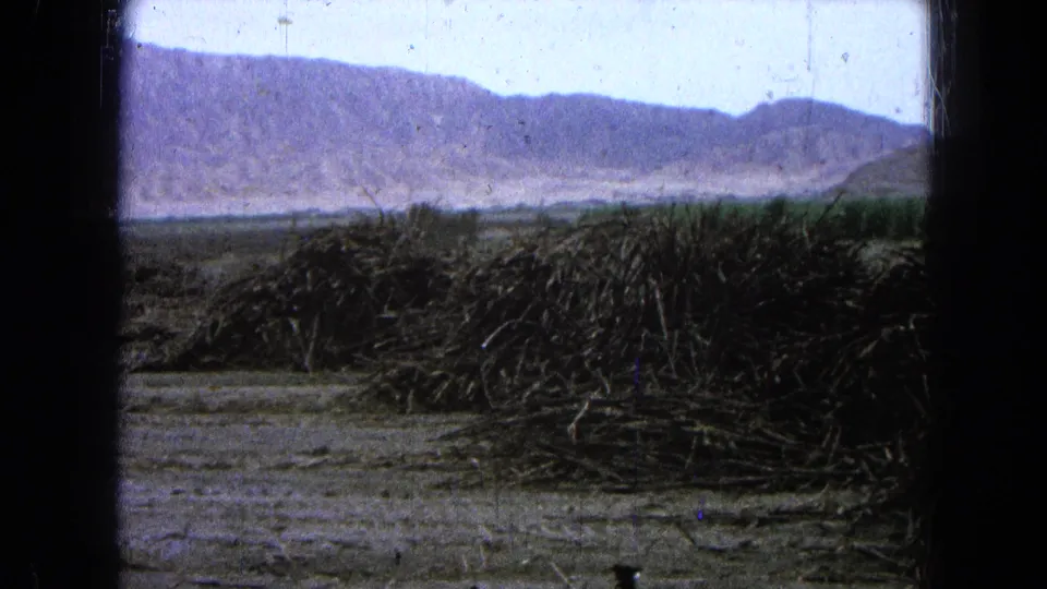 1965 8mm view of a rural field in Pueblo, Mexico, with piled cut stalks, pale ground, distant mountains, and visible film wear.