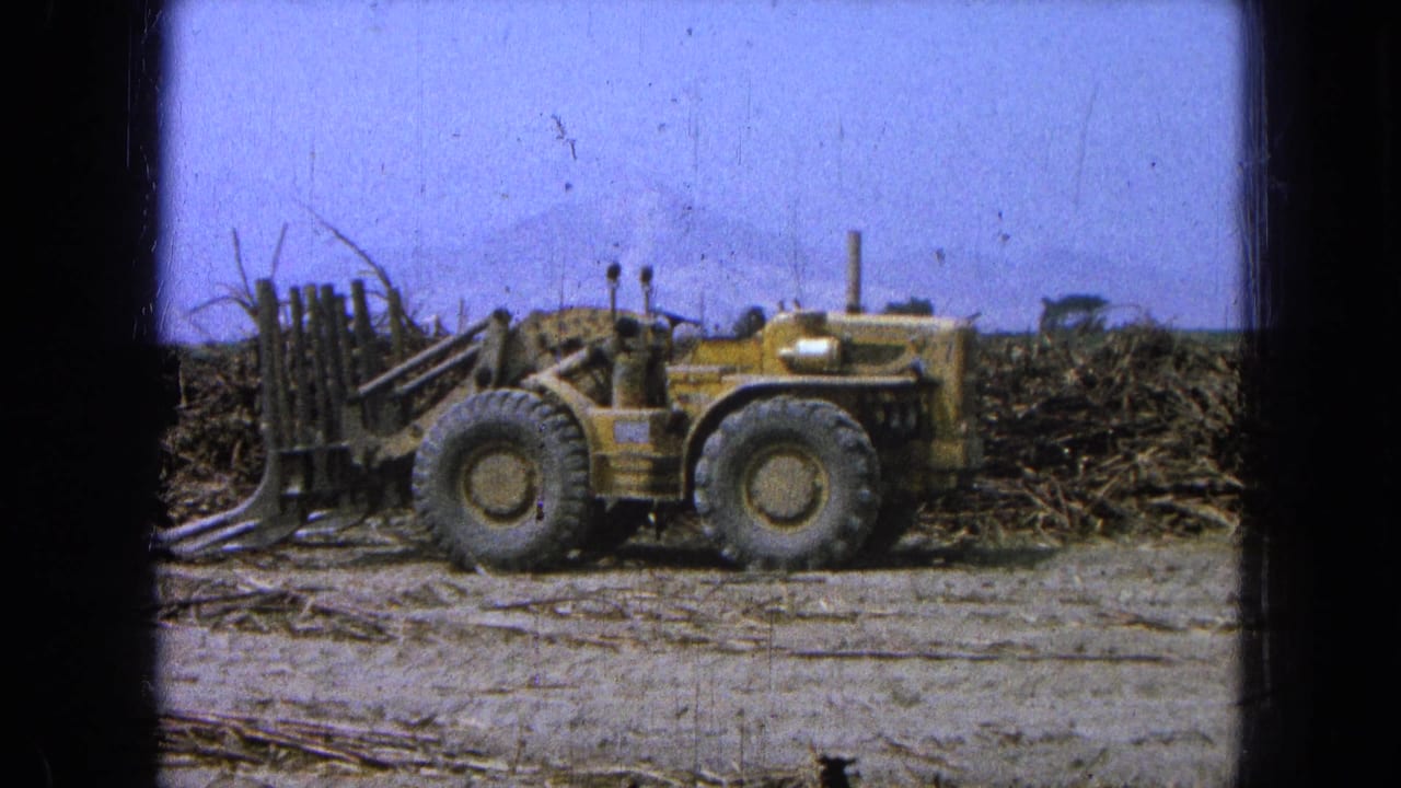 Yellow farm vehicle parked beside piles of cut stalks in an open field.