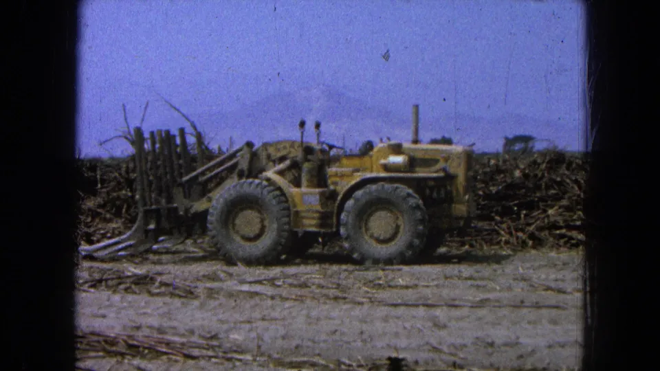 Closer 8mm frame of a yellow farm vehicle with heavy tires and front equipment beside harvested stalk piles in rural Mexico.