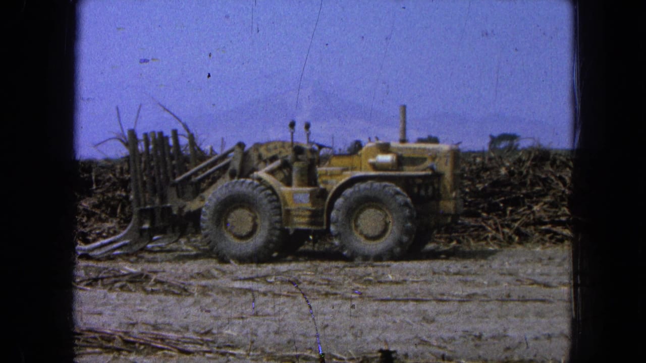 Yellow loader in profile with forked tines and debris pile in the background.