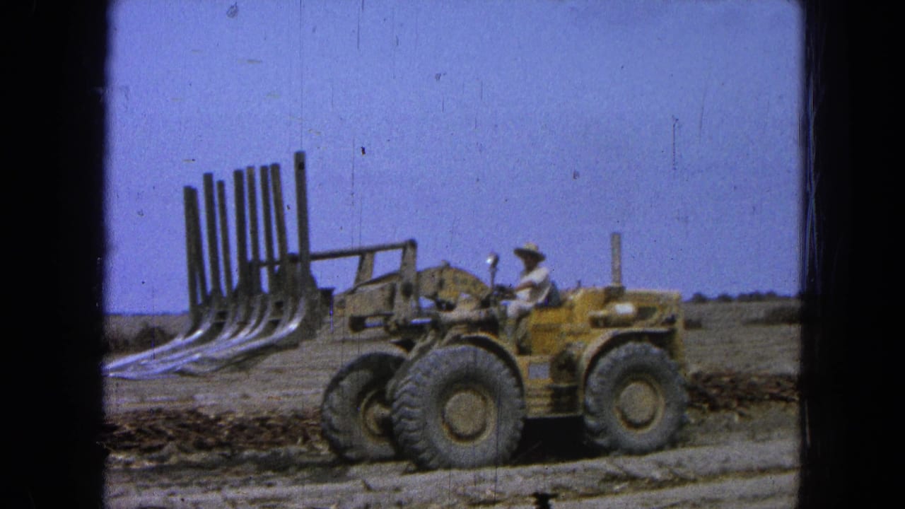 Yellow loader with grapple attachment on a dirt road under blue sky.