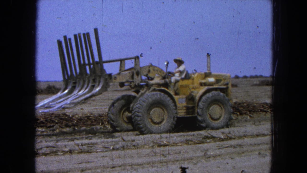 Yellow loader with metal tines driven across a dry field by a man in a wide-brimmed hat.