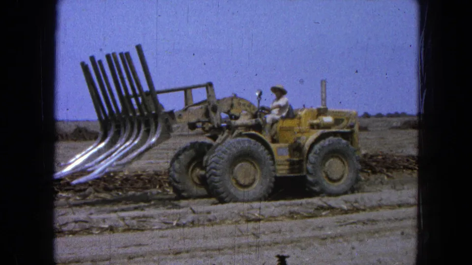A yellow loader with multiple curved metal tines moves through the dry field, with the operator seated behind the front attachment.