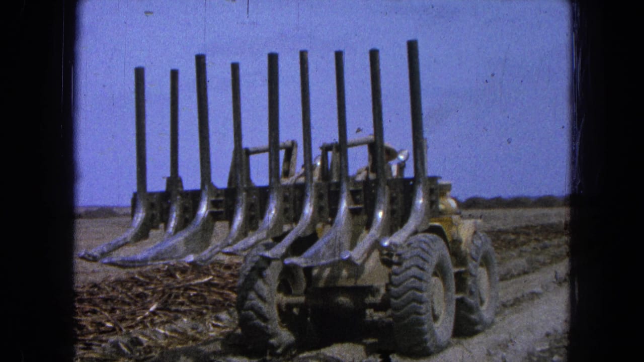 Yellow tractor with tall metal tines seen from behind in a dry field.