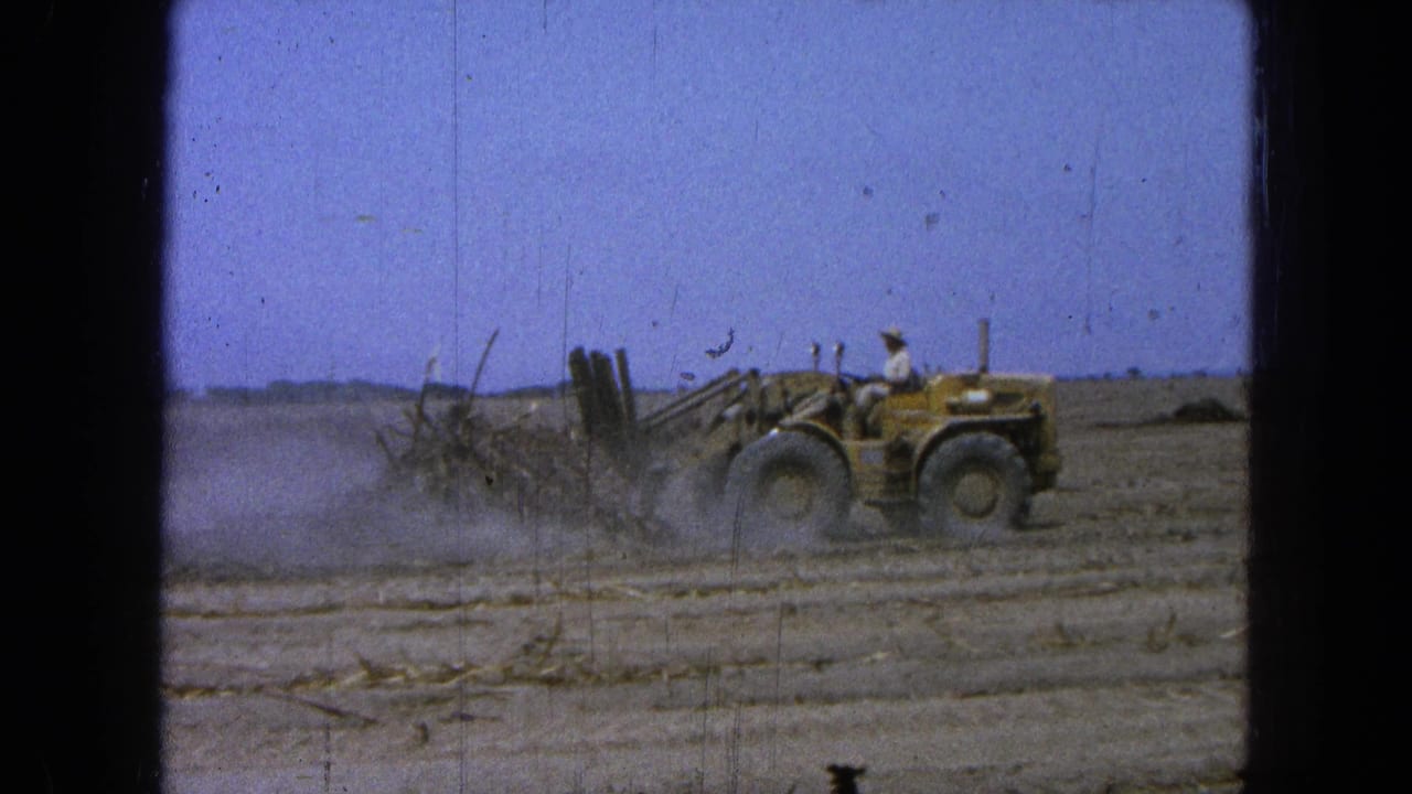 Yellow front-end loader pushes debris across a dry field, raising dust under a blue sky.