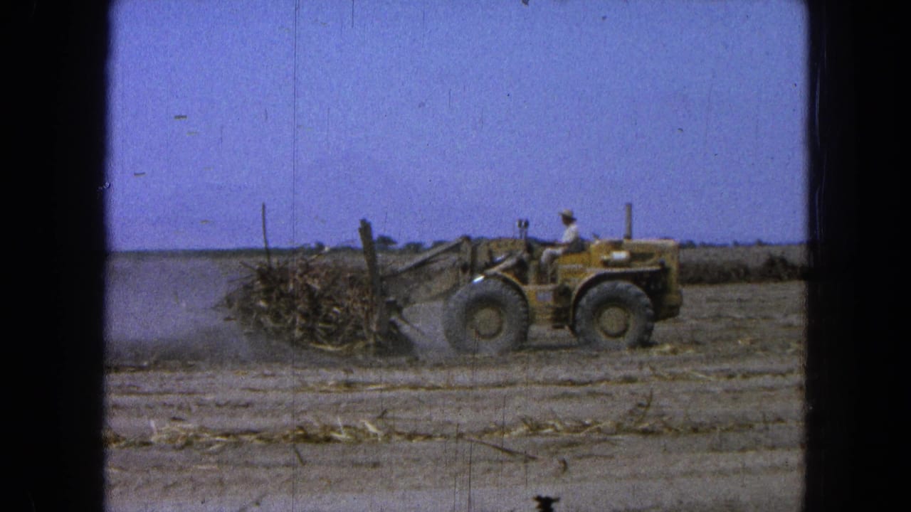 Yellow loader pushes a pile of branches across a dry field.
