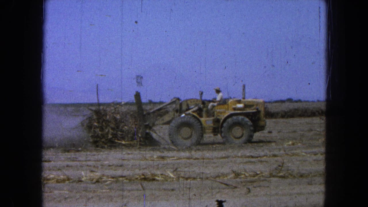 The yellow loader continues pushing logs and branches across dry ground in Pueblo Mexico, 1965.