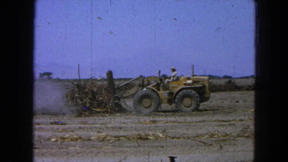 Rural 8mm footage frame of a loader operator pushing cut wood and branches over a harvested field.