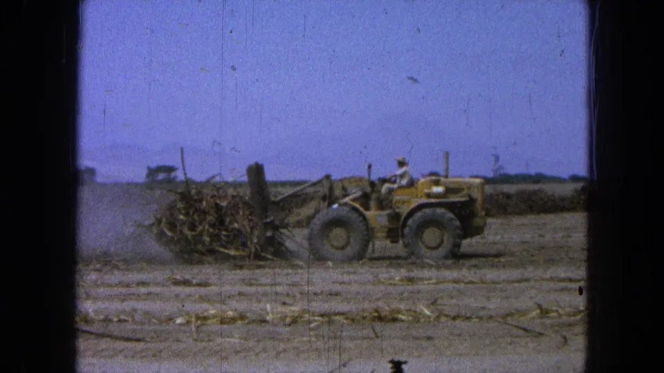 End frame showing the yellow loader beside a tangled pile of logs under a bright sky in Pueblo Mexico, 1965.
