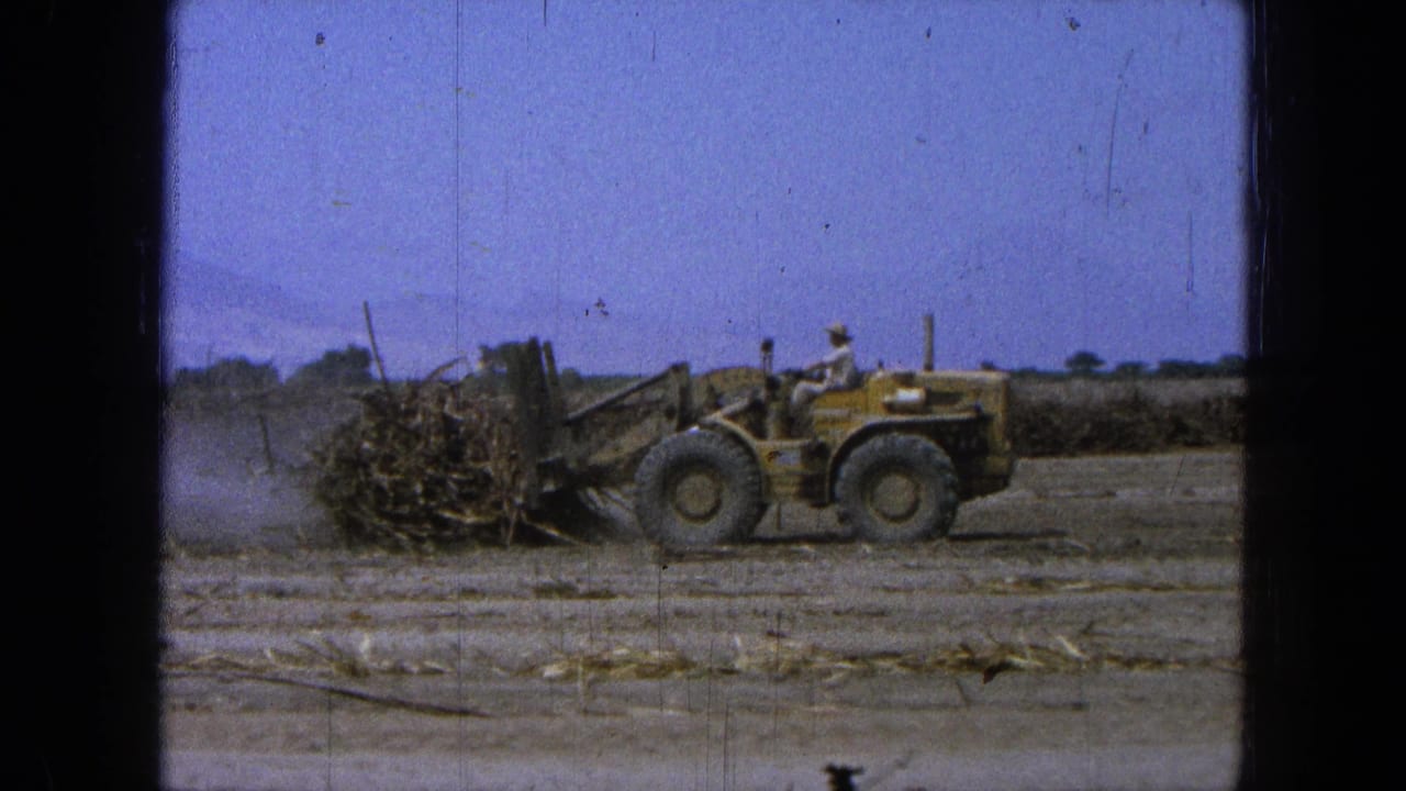 A yellow loader with a seated driver moves cane waste across a dry rural field in supported 1965 Pueblo Mexico footage.