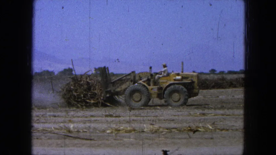 A yellow loader with a seated driver moves cane waste across a dry rural field in supported 1965 Pueblo Mexico footage.