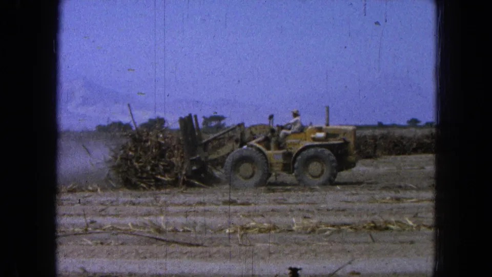 Mid-1960s 8mm view of a yellow loader and driver clearing cane waste on dry harvested land in Pueblo Mexico.