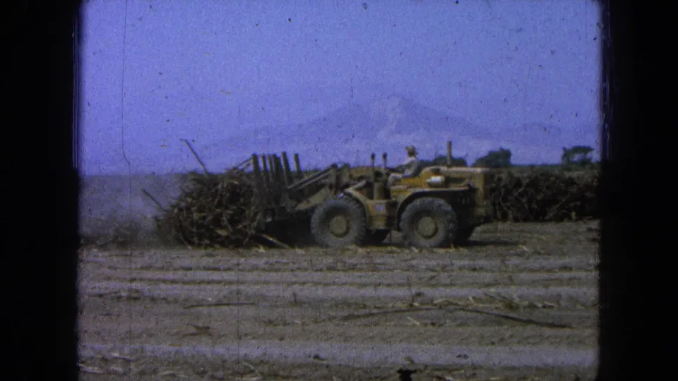 1965 Pueblo, Mexico frame of a worker operating a yellow loader beside cut sugarcane in an open field.