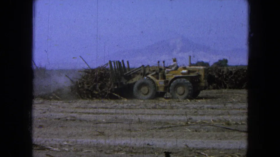 1965 Pueblo, Mexico home-movie frame showing a yellow loader in profile during sugarcane field work.