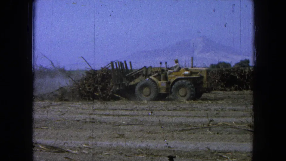 1965 Pueblo, Mexico 8mm frame of a worker on a front-end loader handling sugarcane in a harvested field.