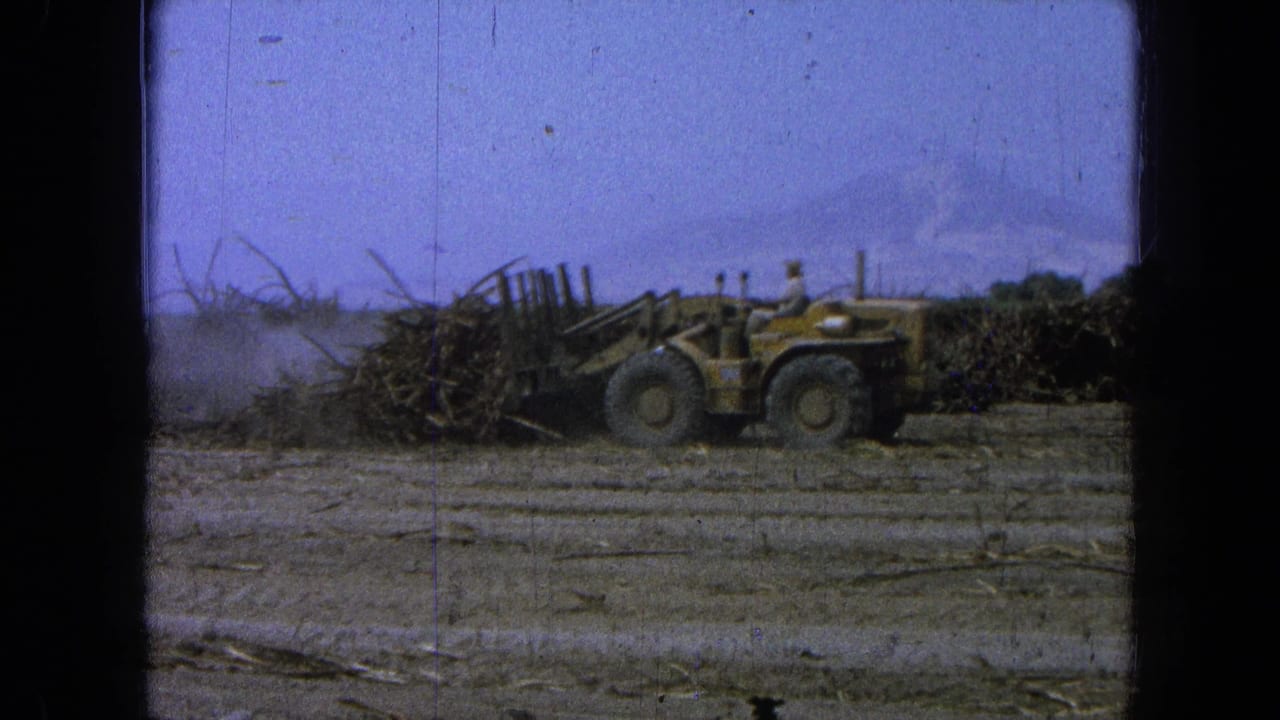 Yellow harvester moving through a dusty field beside piled crop residue.