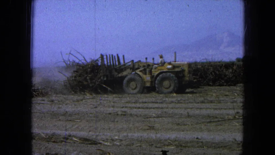 A 1965 rural Mexico frame shows the yellow harvester close to piled plant material, with the operator faintly visible in soft 8mm focus.