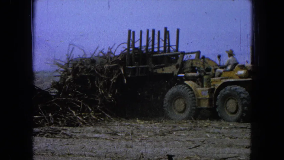 The loader passes close to the camera while its forked frame holds or presses into a dense mass of harvested stalks.