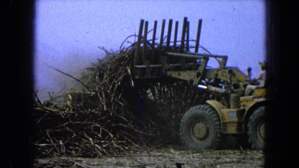 In the final frame, the yellow loader appears to carry a lifted load of cane-like stalks across rural terrain in Pueblo, Mexico.