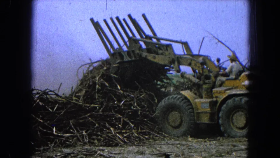 The yellow loader appears mid-lift in Pueblo, Mexico, with its forked attachment over a heap of sugarcane stalks.