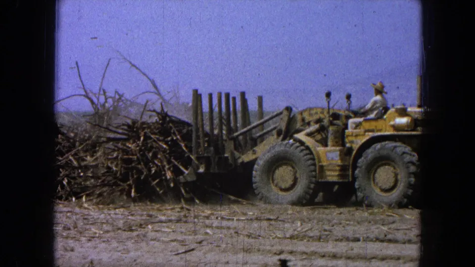 A side view shows the loader and operator beside a large stalk pile, with forks lowered in the 1965 Mexico scene.