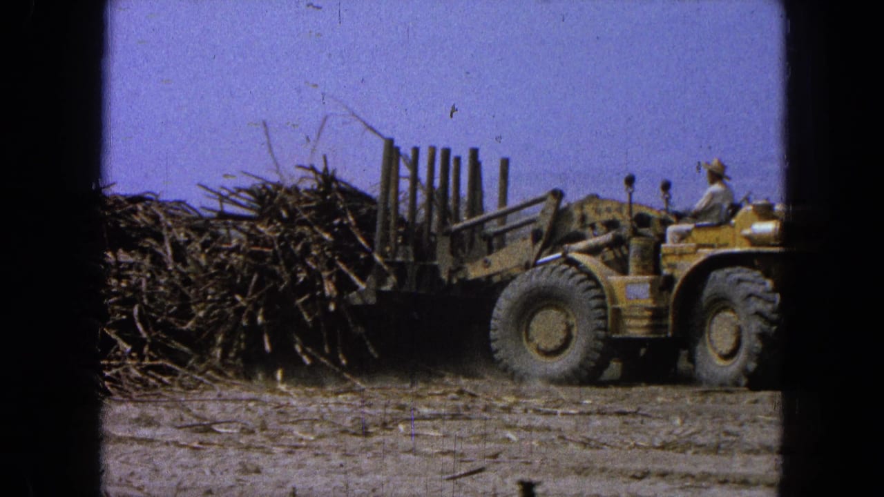 Loader and seated operator aligned with a large lumber pile and upright supports.