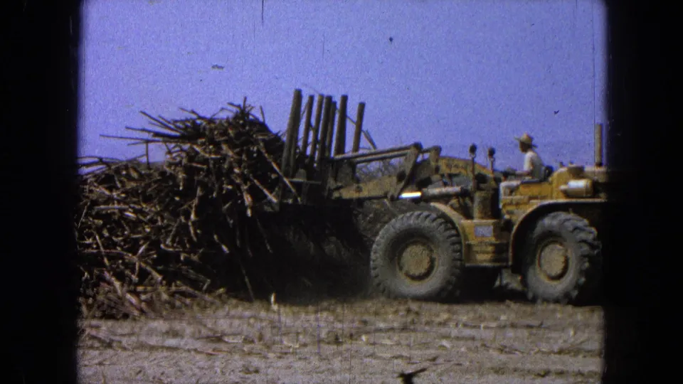 The loader is seen beside the lumber pile near the end of the clip, with 8mm grain and frame-edge shadows visible.