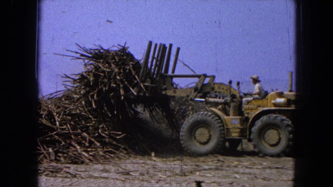 Yellow agricultural loader lifts stalks in 1965 Pueblo, Mexico, with a seated driver visible at the controls.