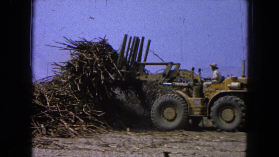 Yellow agricultural loader lifts stalks in 1965 Pueblo, Mexico, with a seated driver visible at the controls.