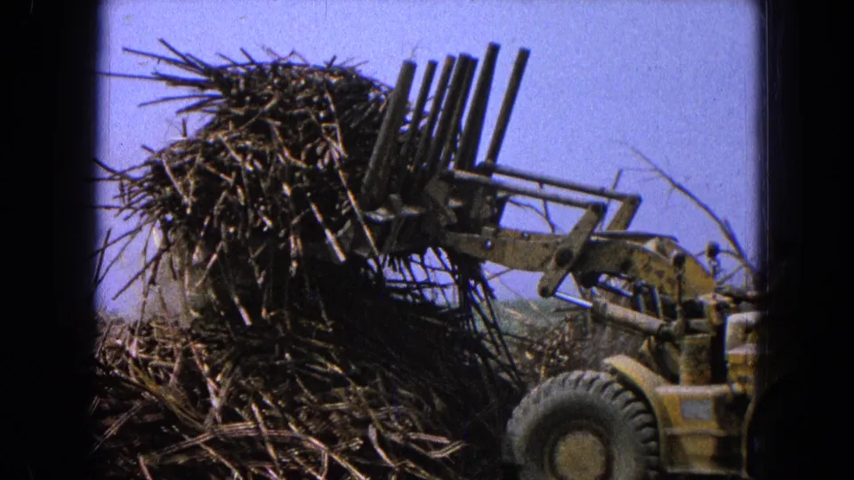1965 8mm footage from Pueblo, Mexico shows a yellow front-end loader working against a mound of brush and branches.