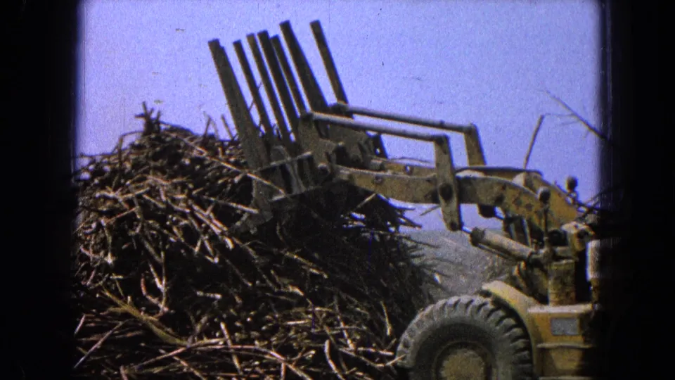 A yellow front-end loader lifts or positions its claw attachment over natural debris in the rural outdoor scene.