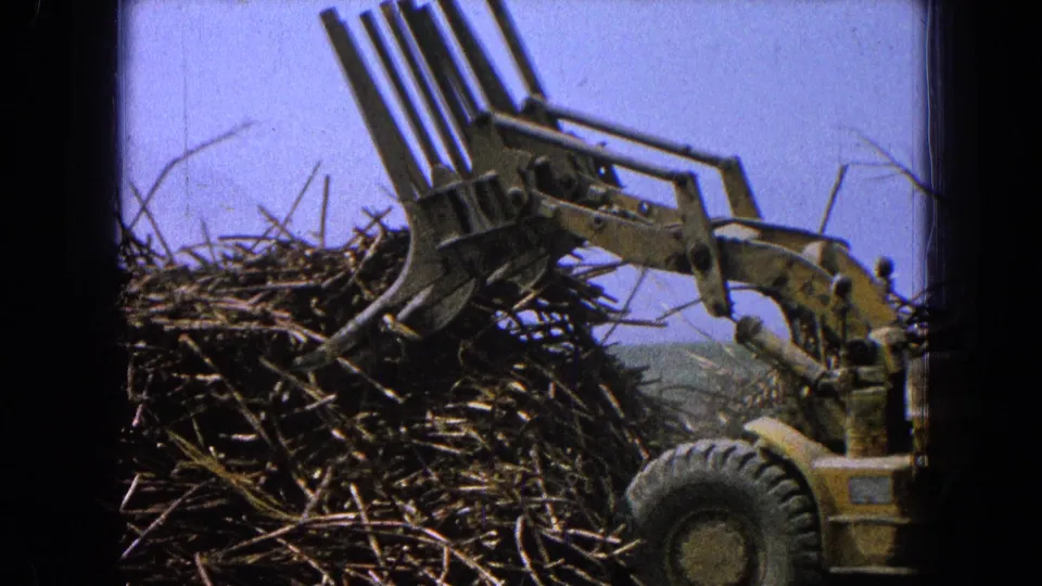 Yellow loader in Pueblo, Mexico, with its forked front attachment pulling back from a stacked wood or brush pile.