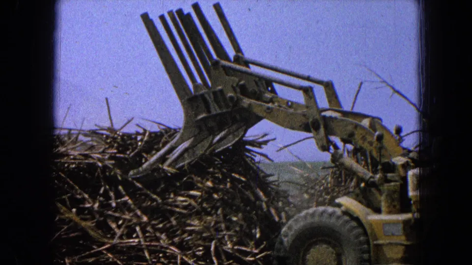The forked attachment is partly withdrawn as the large wood debris pile appears to settle in the 1965 home-movie frame.