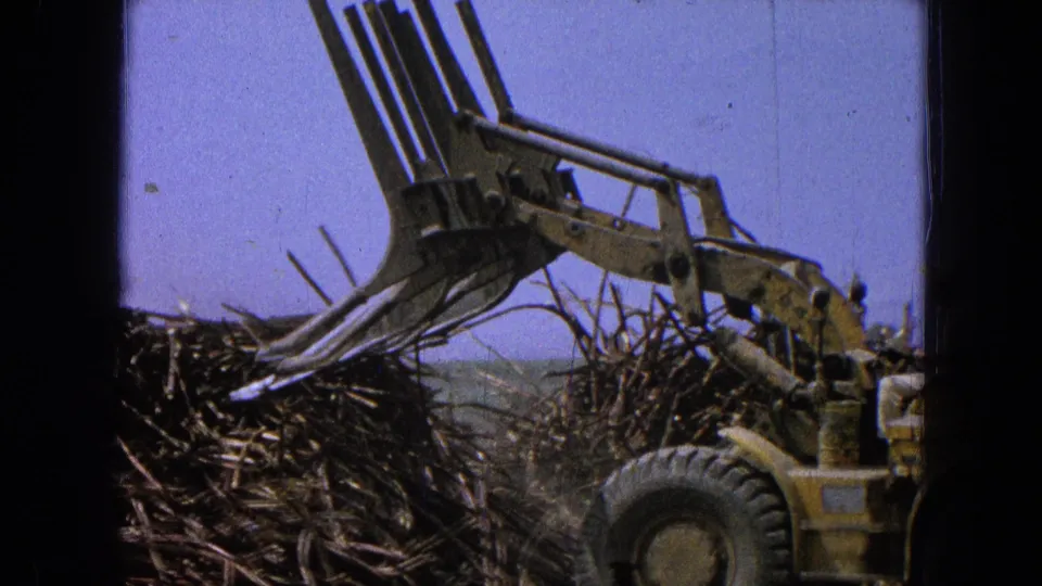 Final 8mm frame shows the yellow loader pulling back from a partially collapsed wood pile, with tire, boom, and fork tines visible.