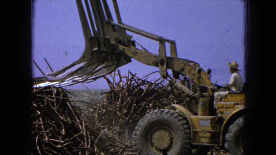 1965 rural Mexico 8mm frame showing a yellow front-end loader lifting or pushing branches as an operator sits at the controls.