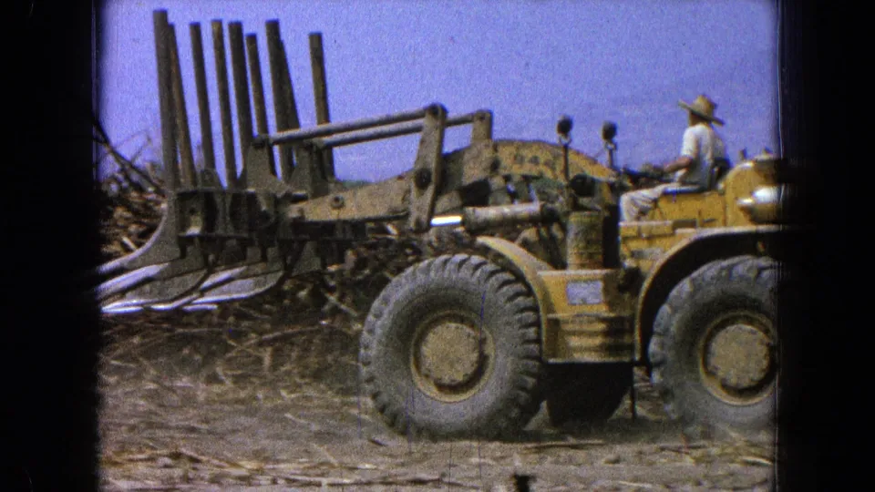 8mm frame from 1965 showing the yellow front-end loader close to camera, with its claw attachment near branches on dirt ground.