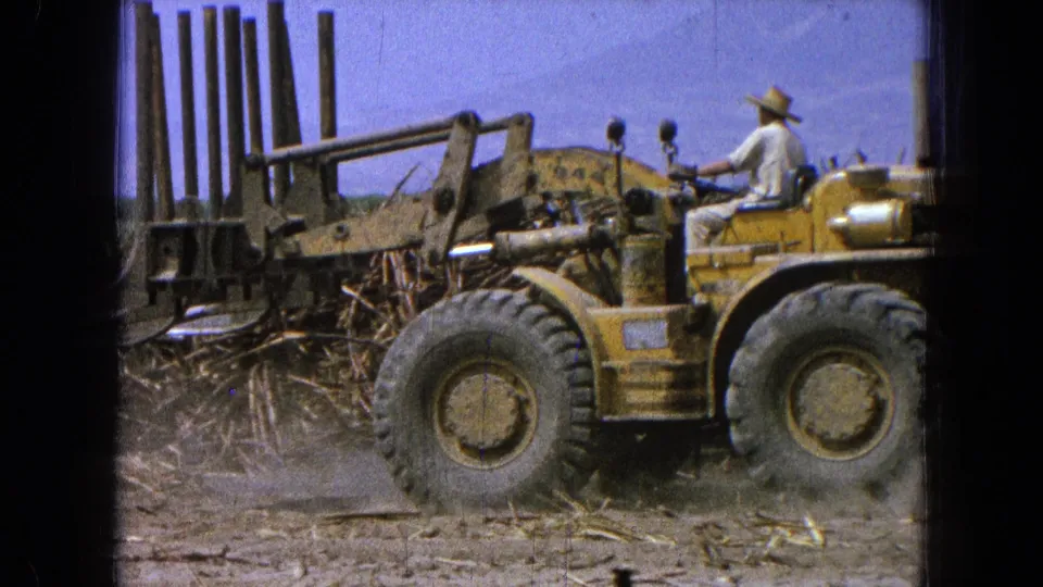 1965 rural Mexico frame showing the loader side-on, with the operator seated high above the large tires and branches nearby.