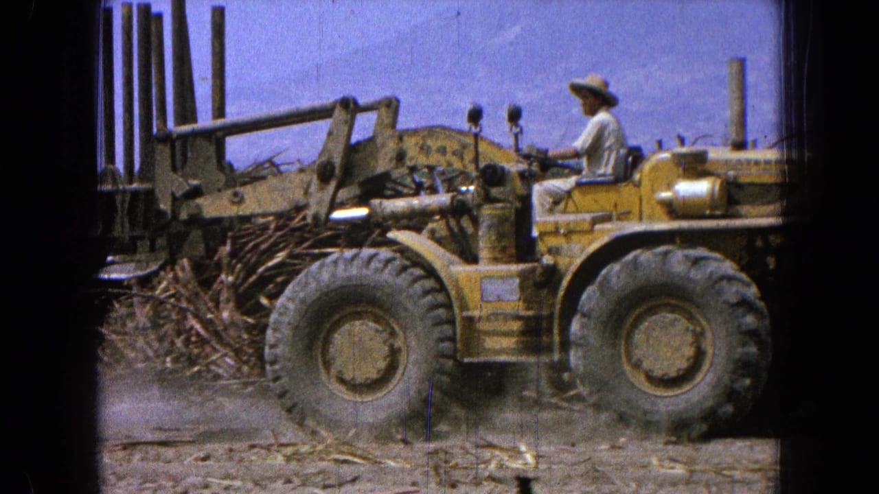 Worker in a wide-brimmed hat drives a yellow loader beside cut crop material in a dusty field.
