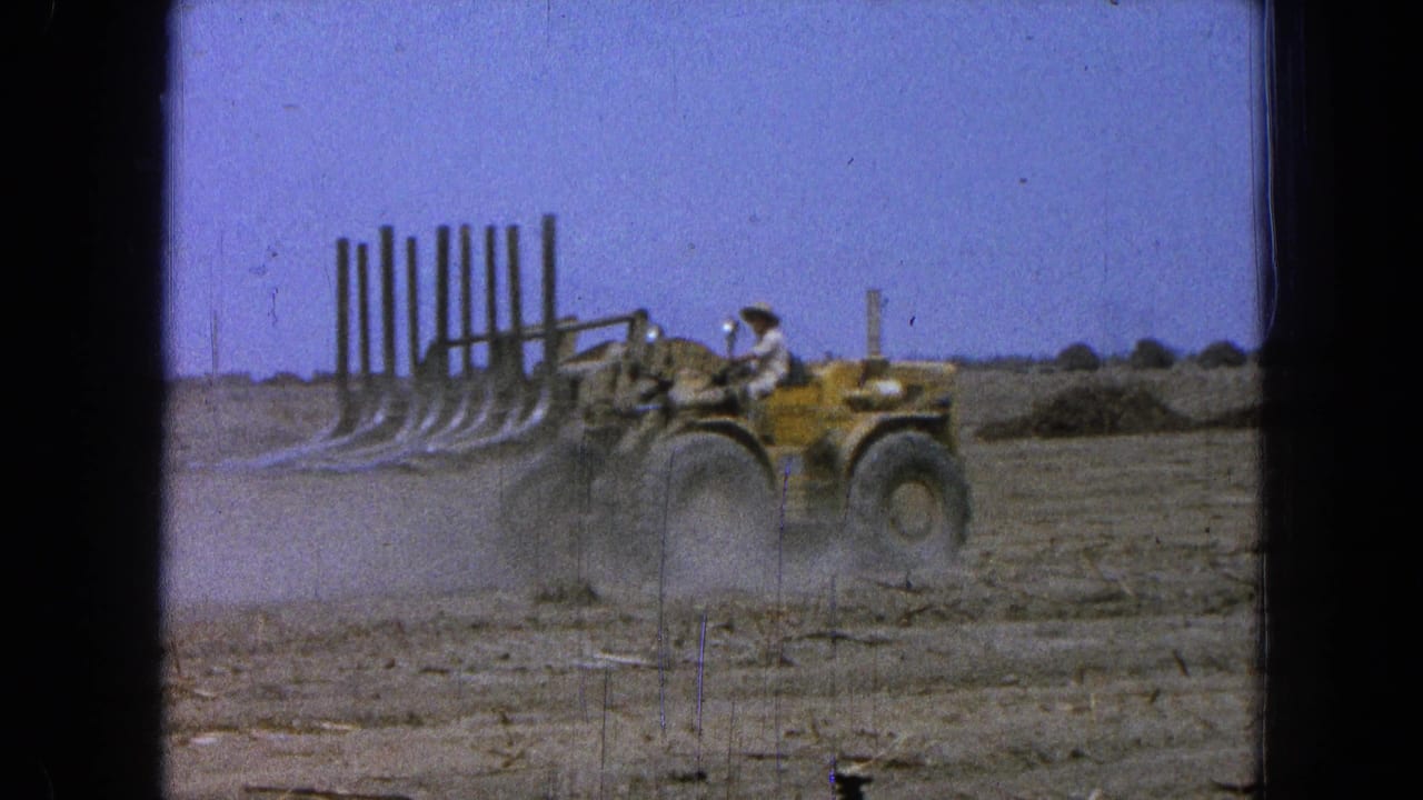 Yellow loader moves across a dry field with a worker seated at the controls and dust behind it.