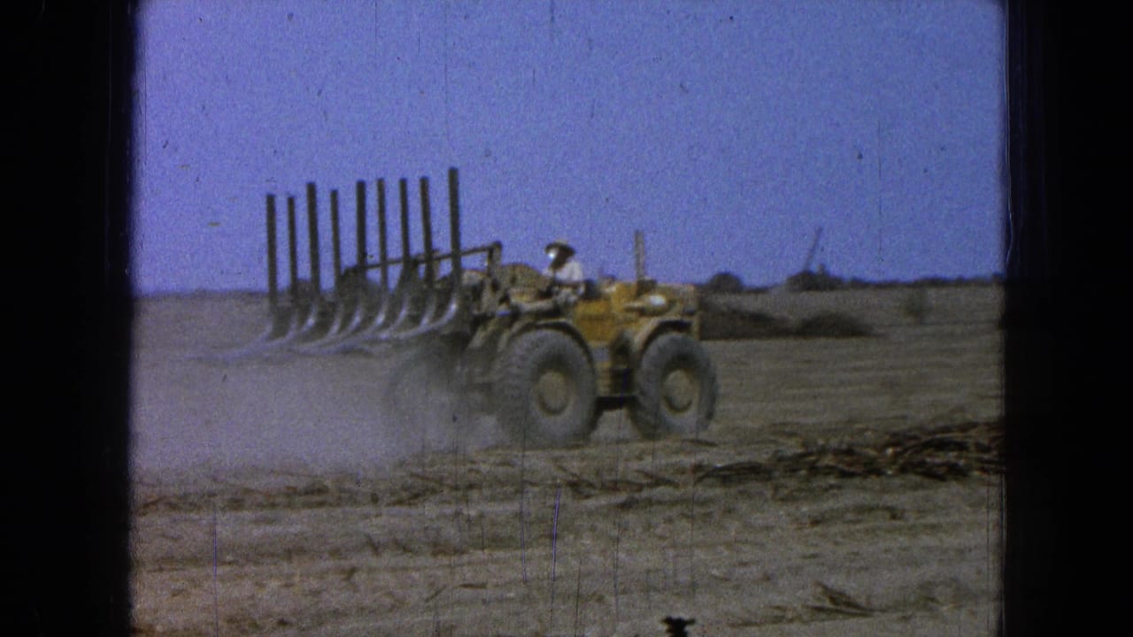 Yellow tractor crosses a dry field while pulling a tall brush-clearing rig and raising dust.