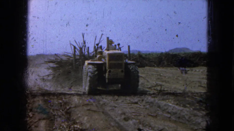 The tractor is seen head-on in a dusty sugarcane field, with cane piles and distant hills visible in the home-movie frame.