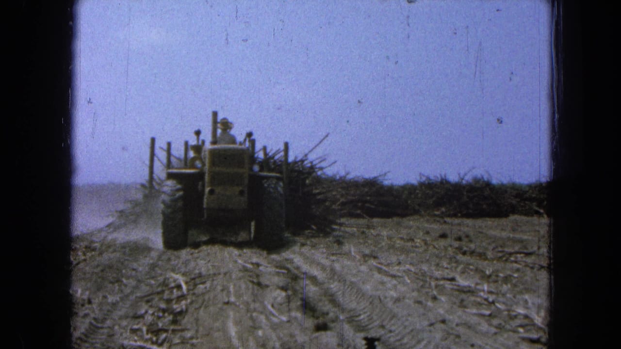 Tractor drives away on a dusty field road beside a harvested crop pile.