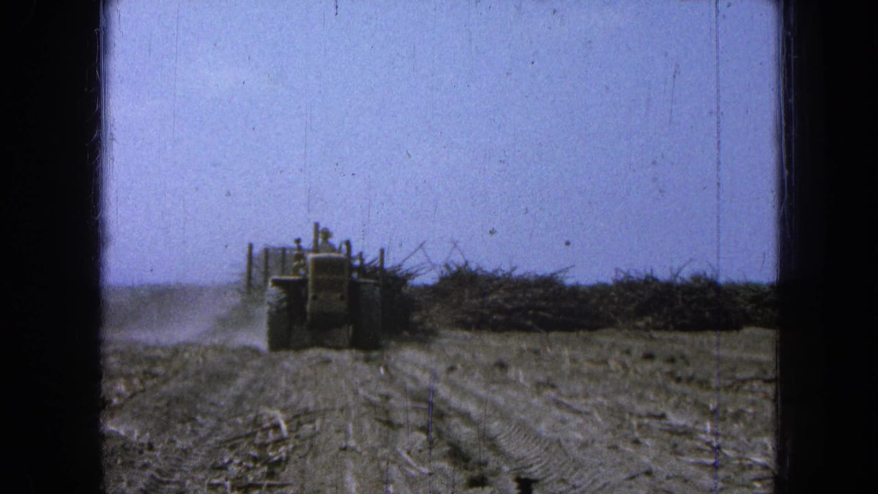 Front-end loader approaches through a dusty field with brush piled ahead.