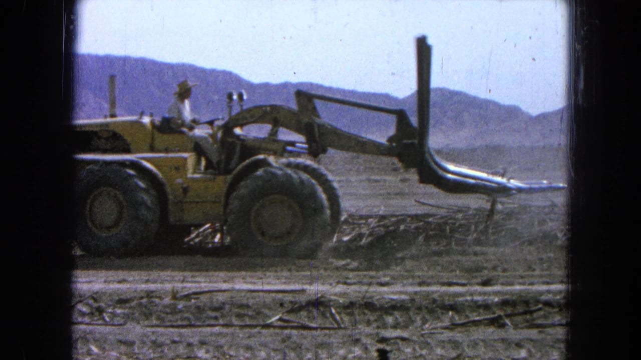 Yellow loader with an operator moves across a dry field near scattered poles and distant hills.